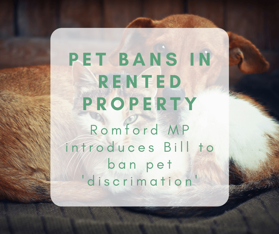 Cat and dog in rented home