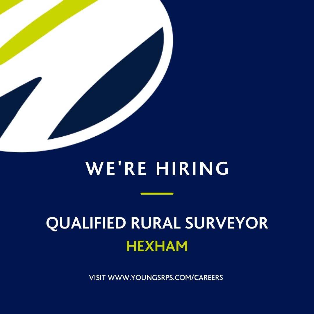 Job vacancy Hexham youngsrps rural surveyor