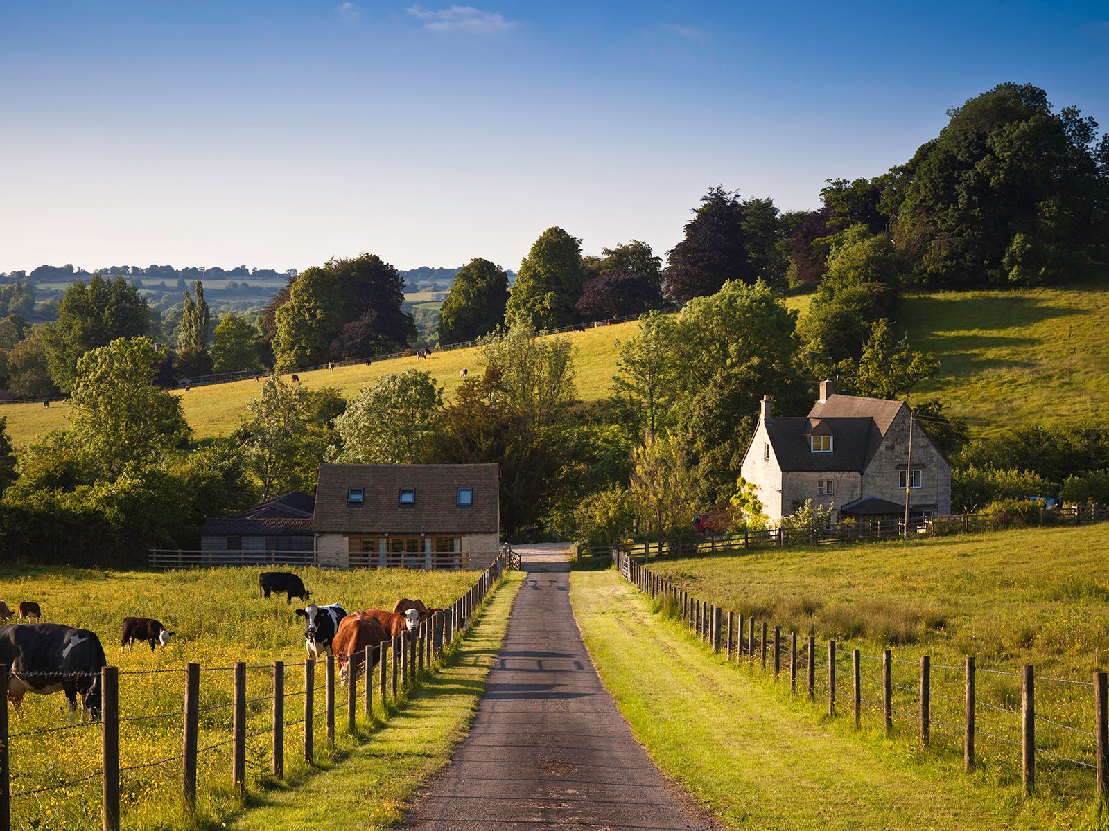 Scotland Buying your Tenanted Farm