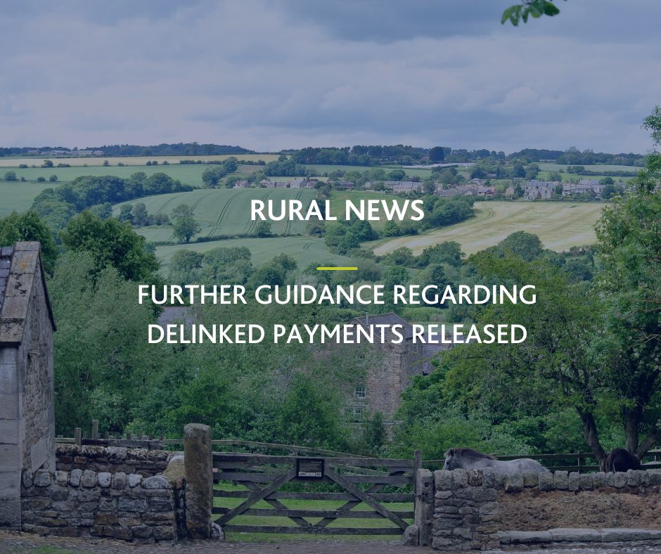 Delinked payments updated guidance