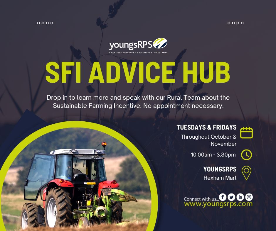 SFI advice hub youngsrps