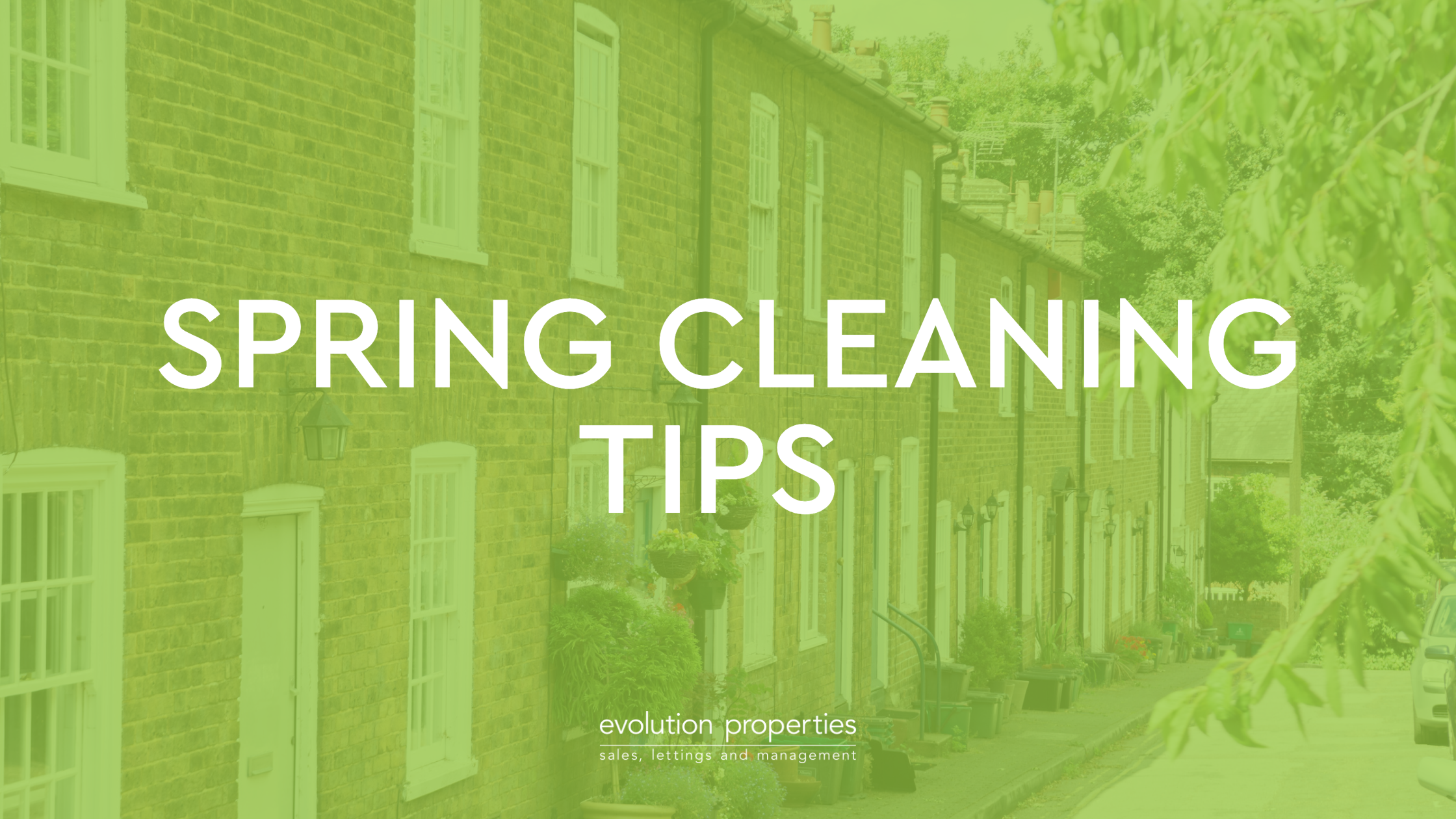 Spring cleaning tips!