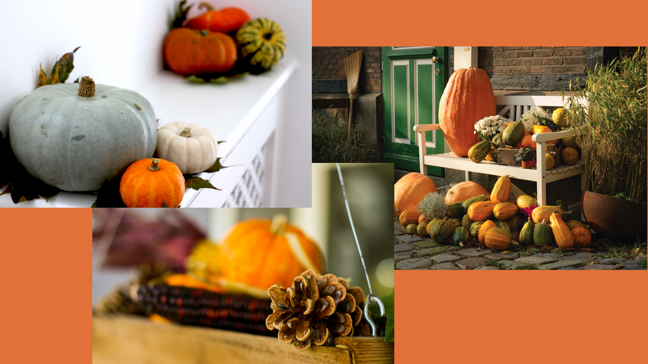 Autumnal décor to spice up your property!