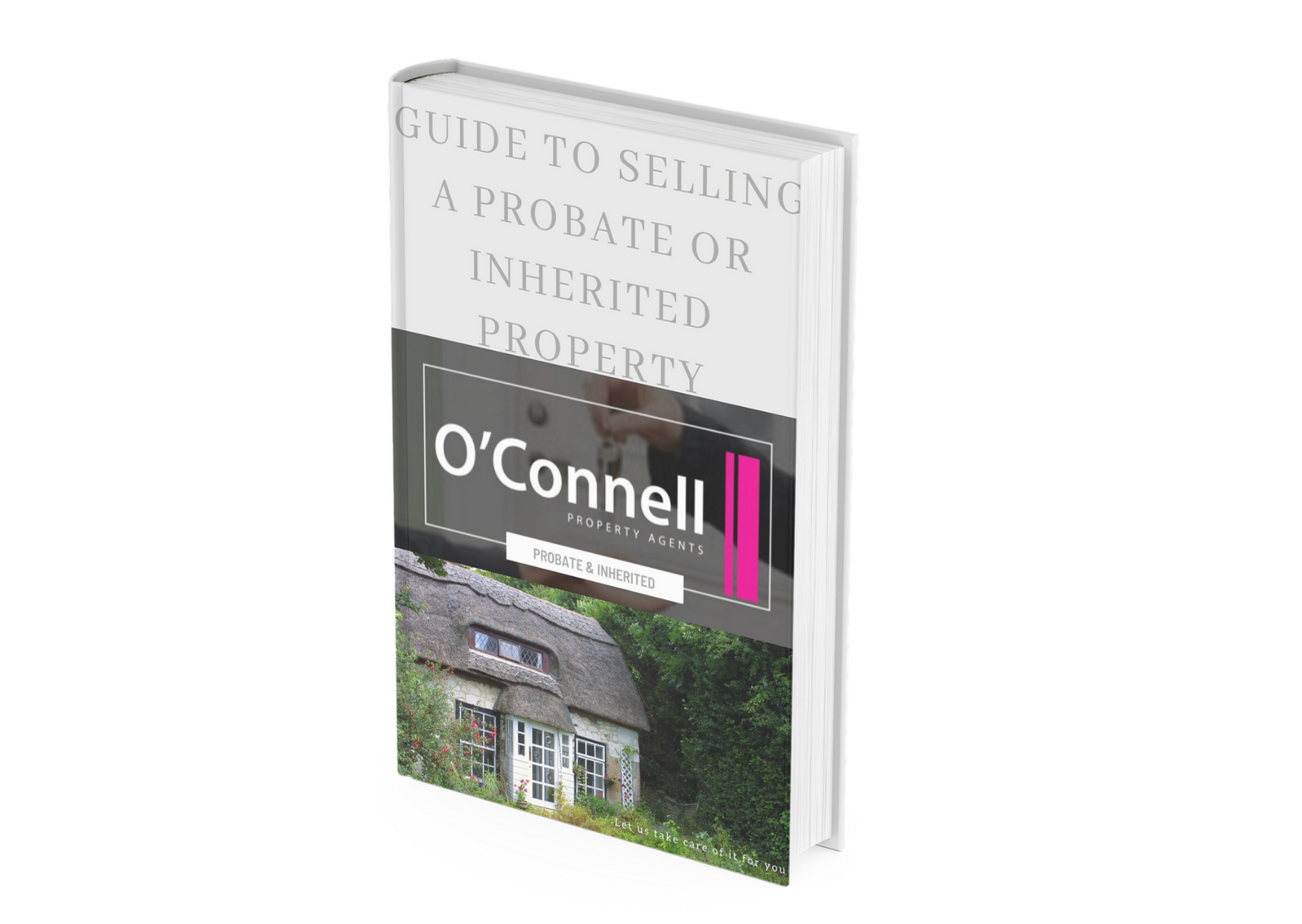 Example E-Guide to Selling a Probate oBlog 1 Image