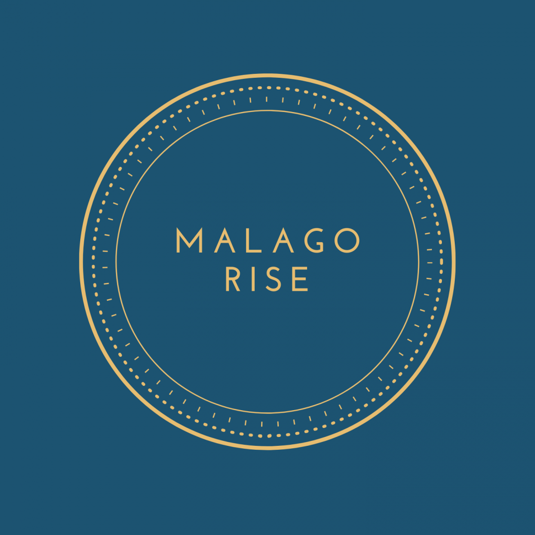 Malago Rise, Bedminster