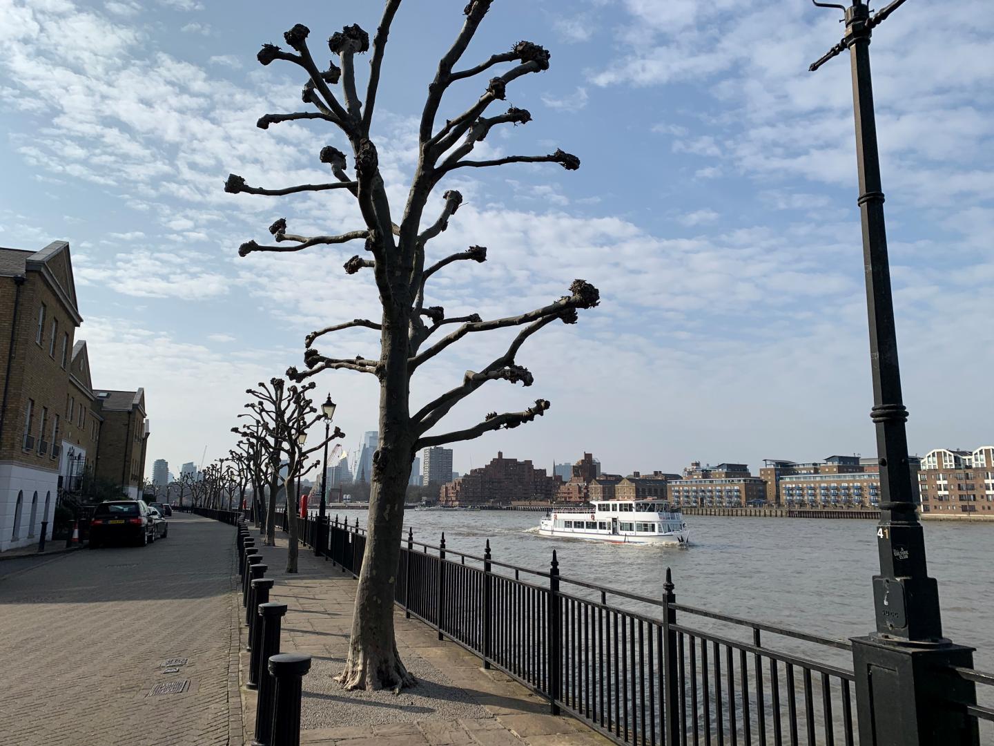 Area Guide for Rotherhithe