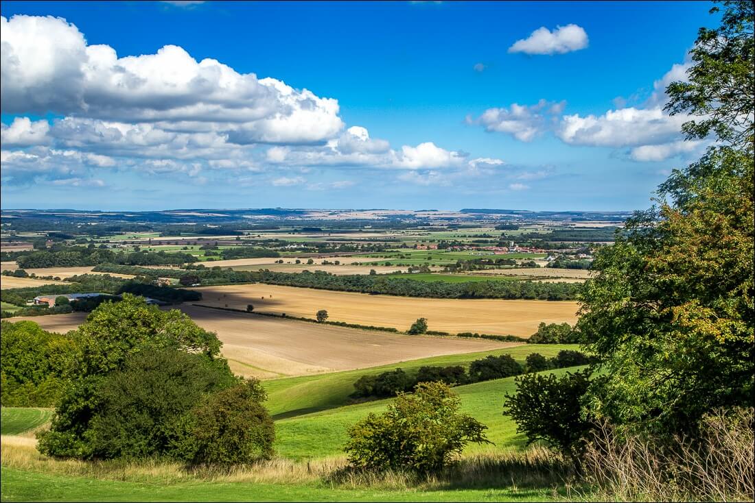 Area Guide for Yorkshire Wolds