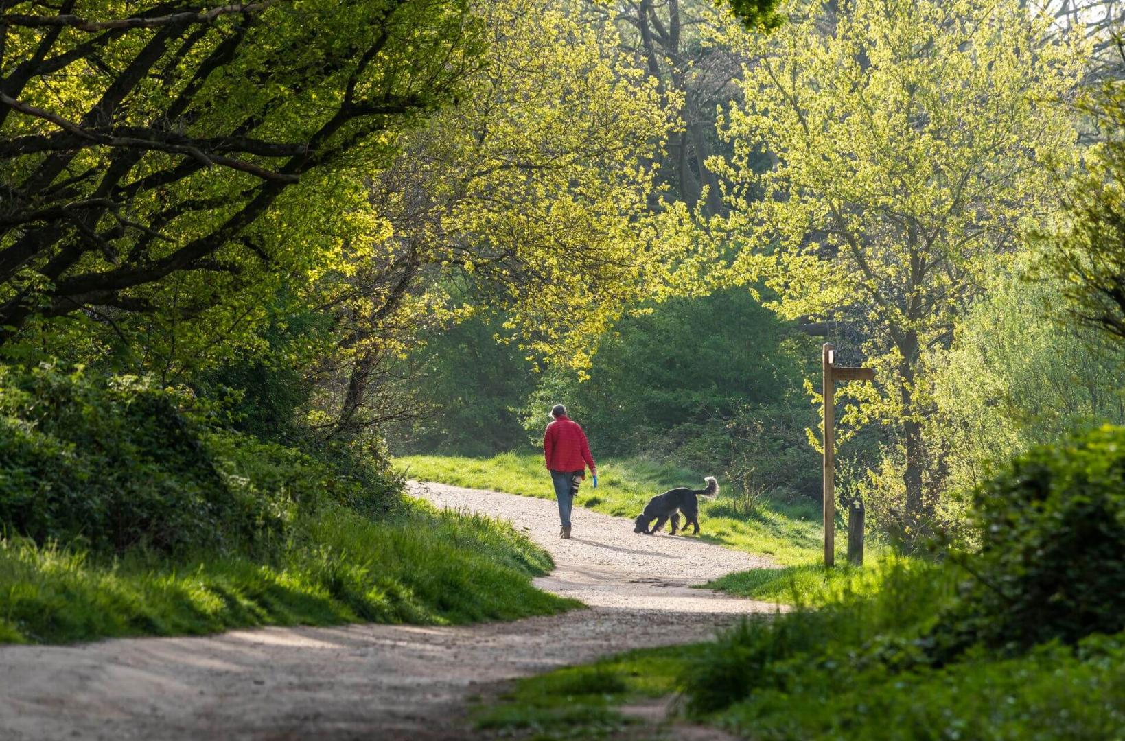 Area Guides for Guide to Wanstead (7)