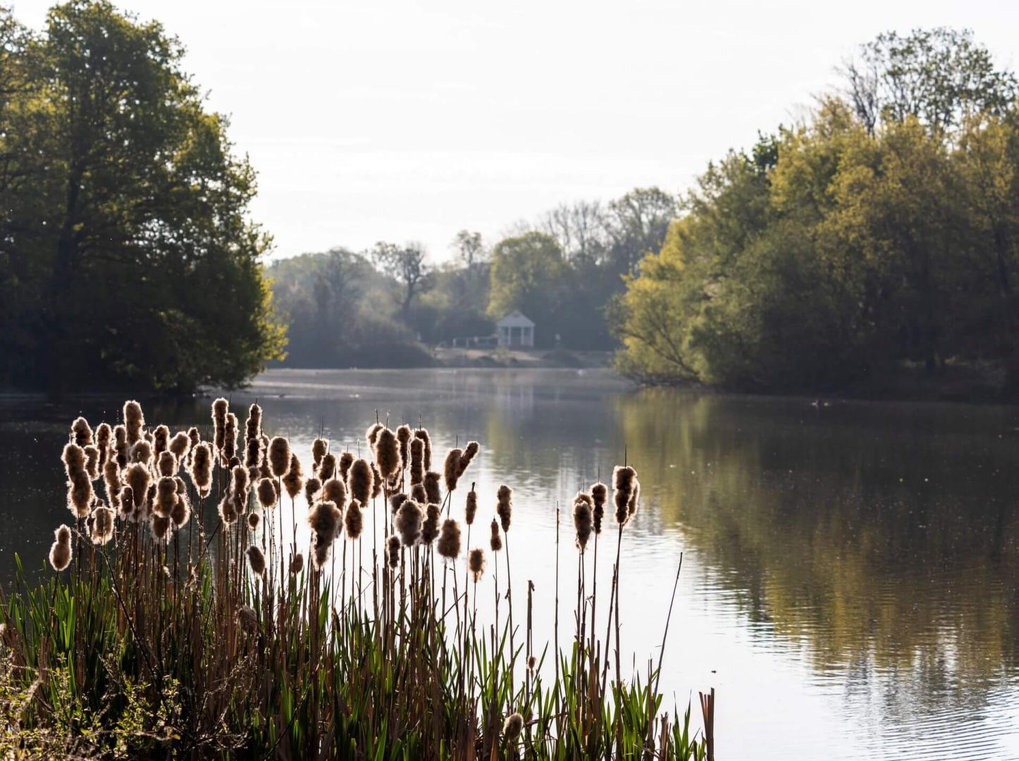 Area Guides for Guide to Wanstead (3)