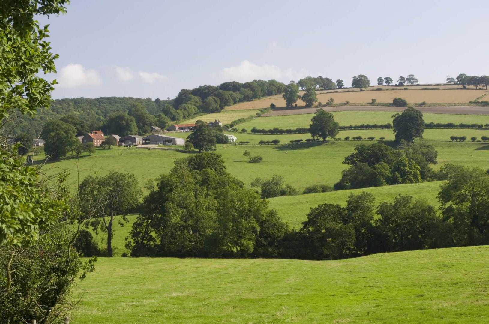 Area Guide for Burton on the Wolds/Walton on the Wolds