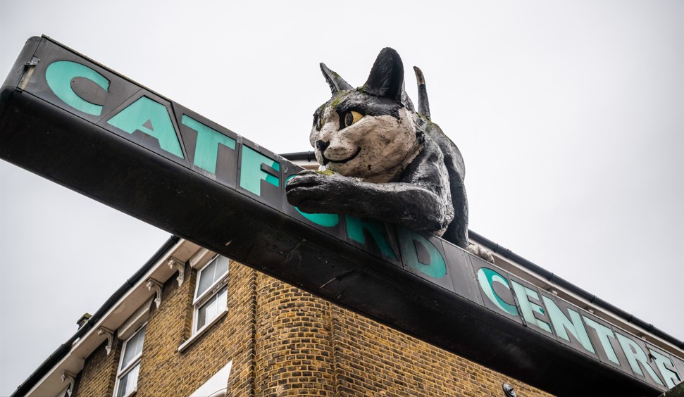 Area Guide for Catford