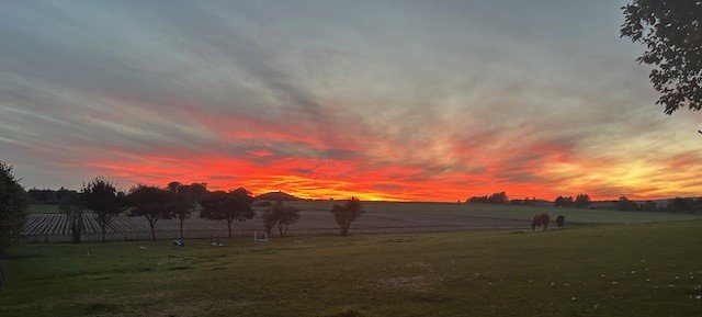 Area Guide for Insch