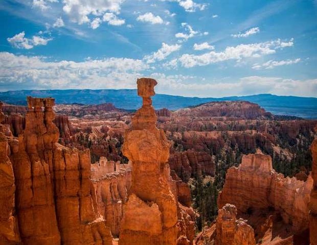 Area Guides for Bognor Regis 2 (1)