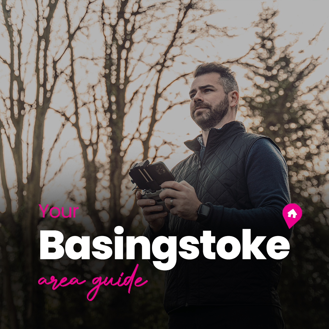 Area Guide for Basingstoke