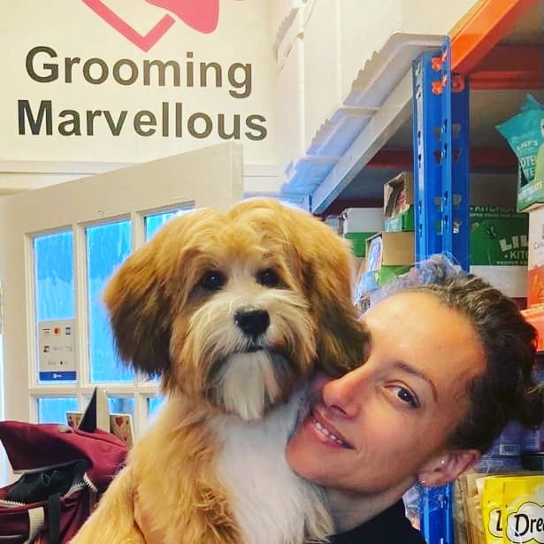 Grooming Marvellous  in Ashley Cross / Lower Parkstone (2)