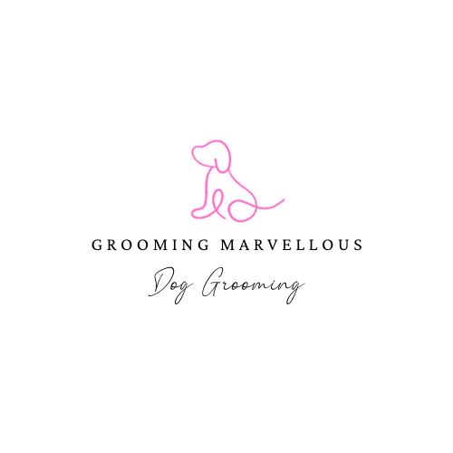 Grooming Marvellous  in Ashley Cross / Lower Parkstone