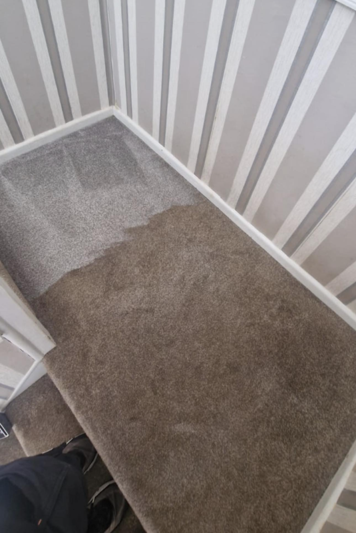 Elite Carpet & Cleaning Service in Ashley Cross / Lower Parkstone (4)