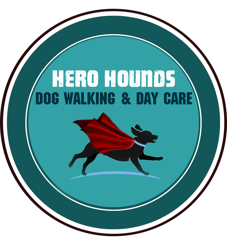 Hero Hounds in Ashley Cross / Lower Parkstone (2)