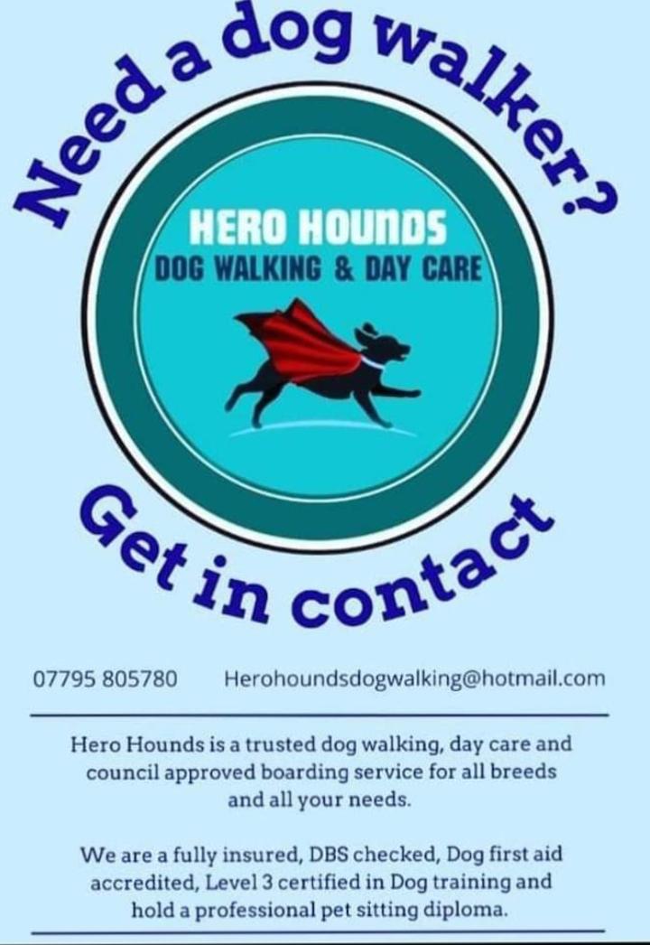 Hero Hounds in Ashley Cross / Lower Parkstone (1)