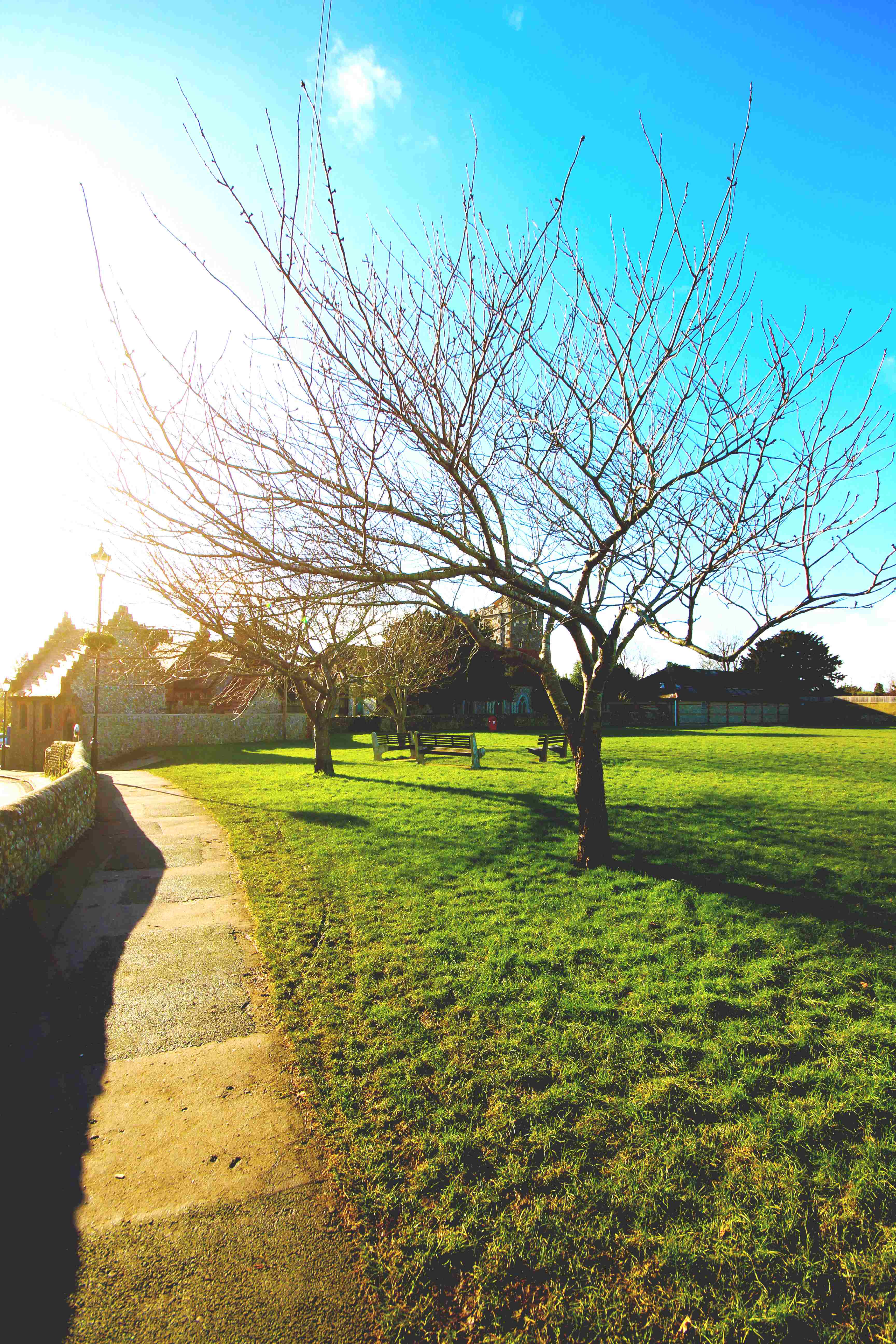 Fletchers Field in Angmering (1)