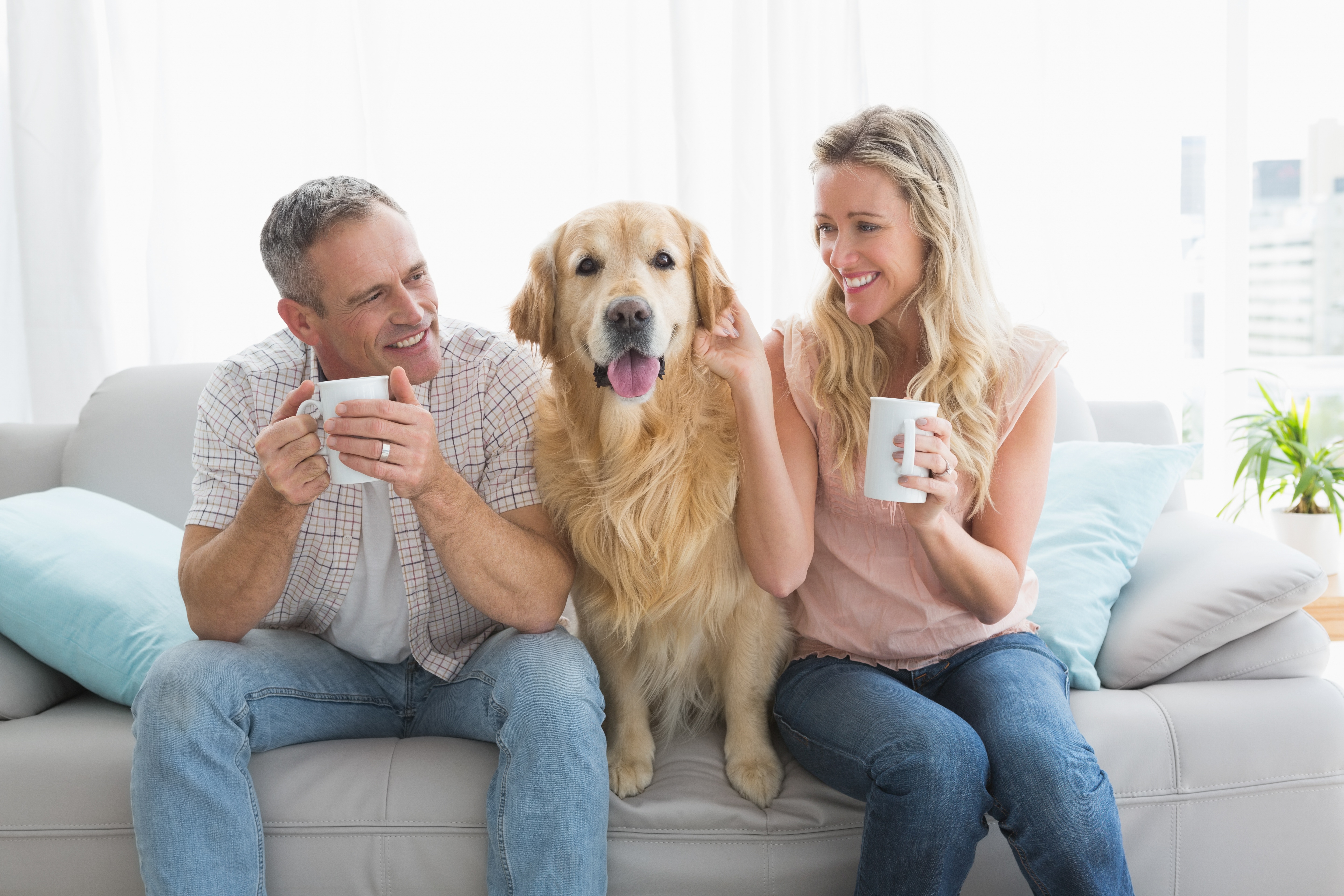 Allowing pets will boost interest in your property and open up the opportunity for a more long-term let
