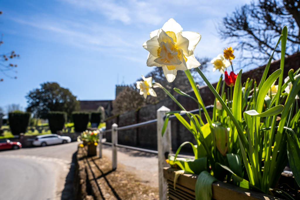 Area Guides for Okeford Fitzpaine (3)