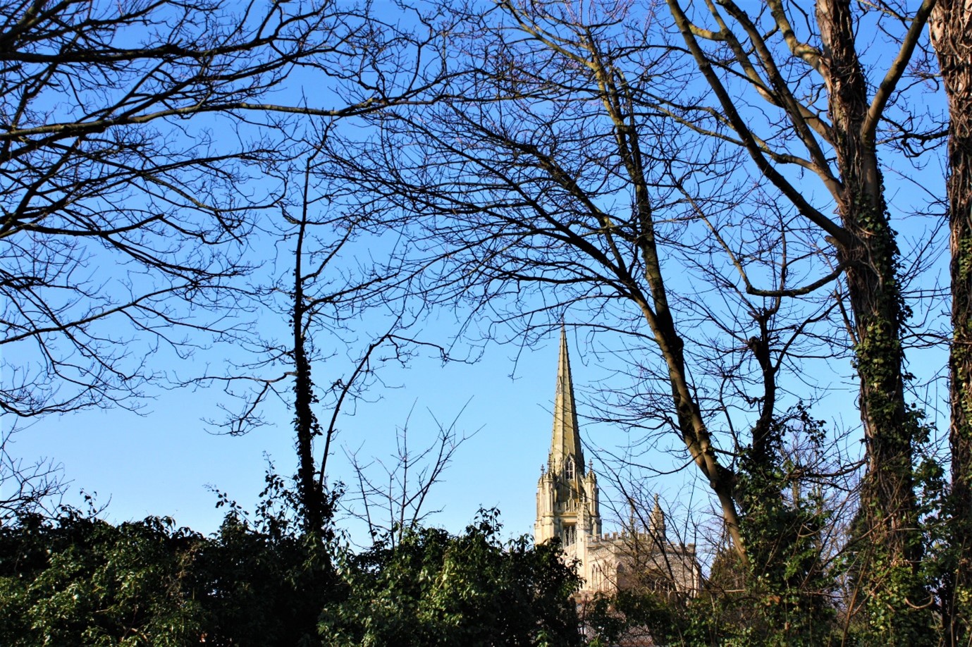 Area Guide for Saffron Walden