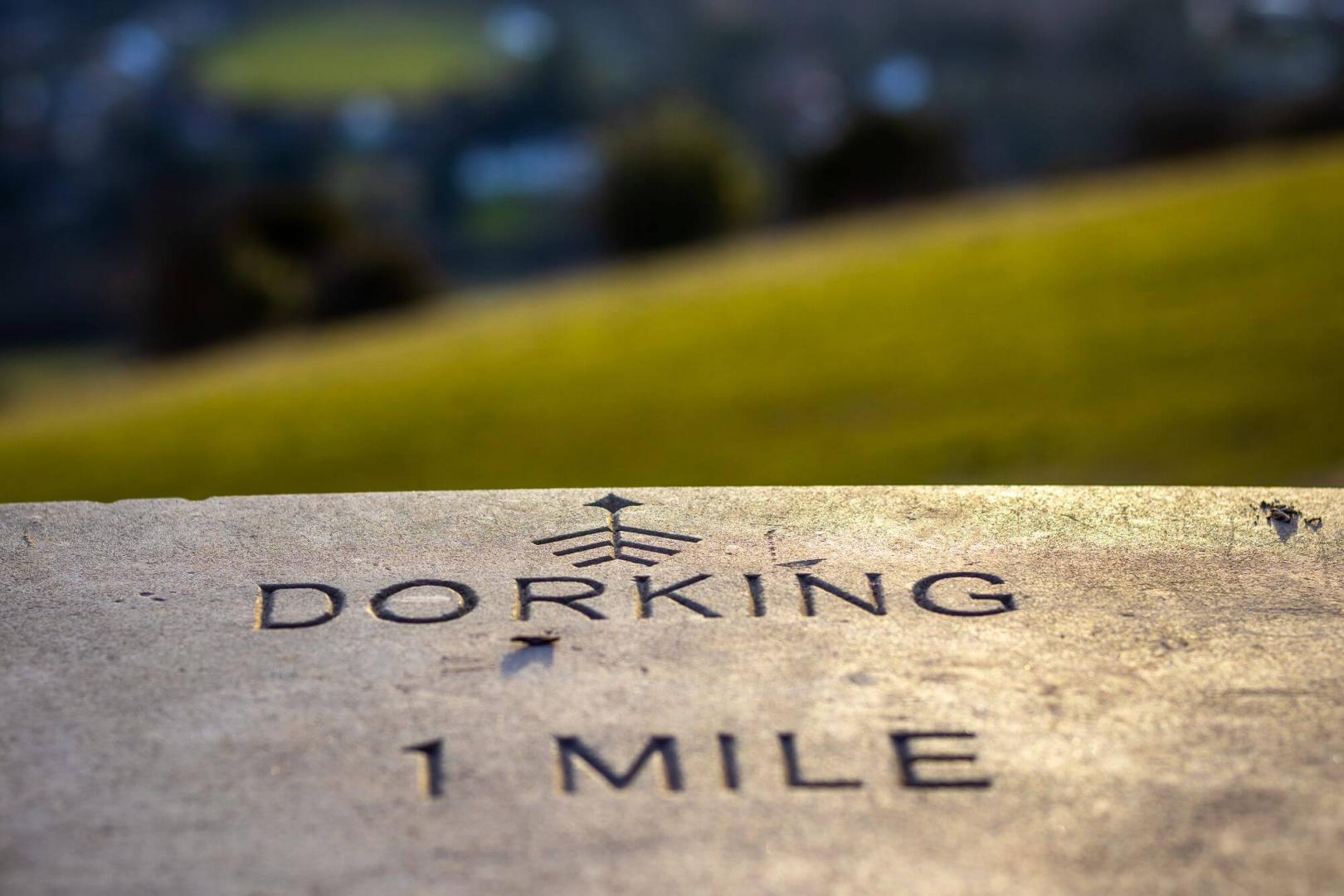 Area Guides for Dorking (2)