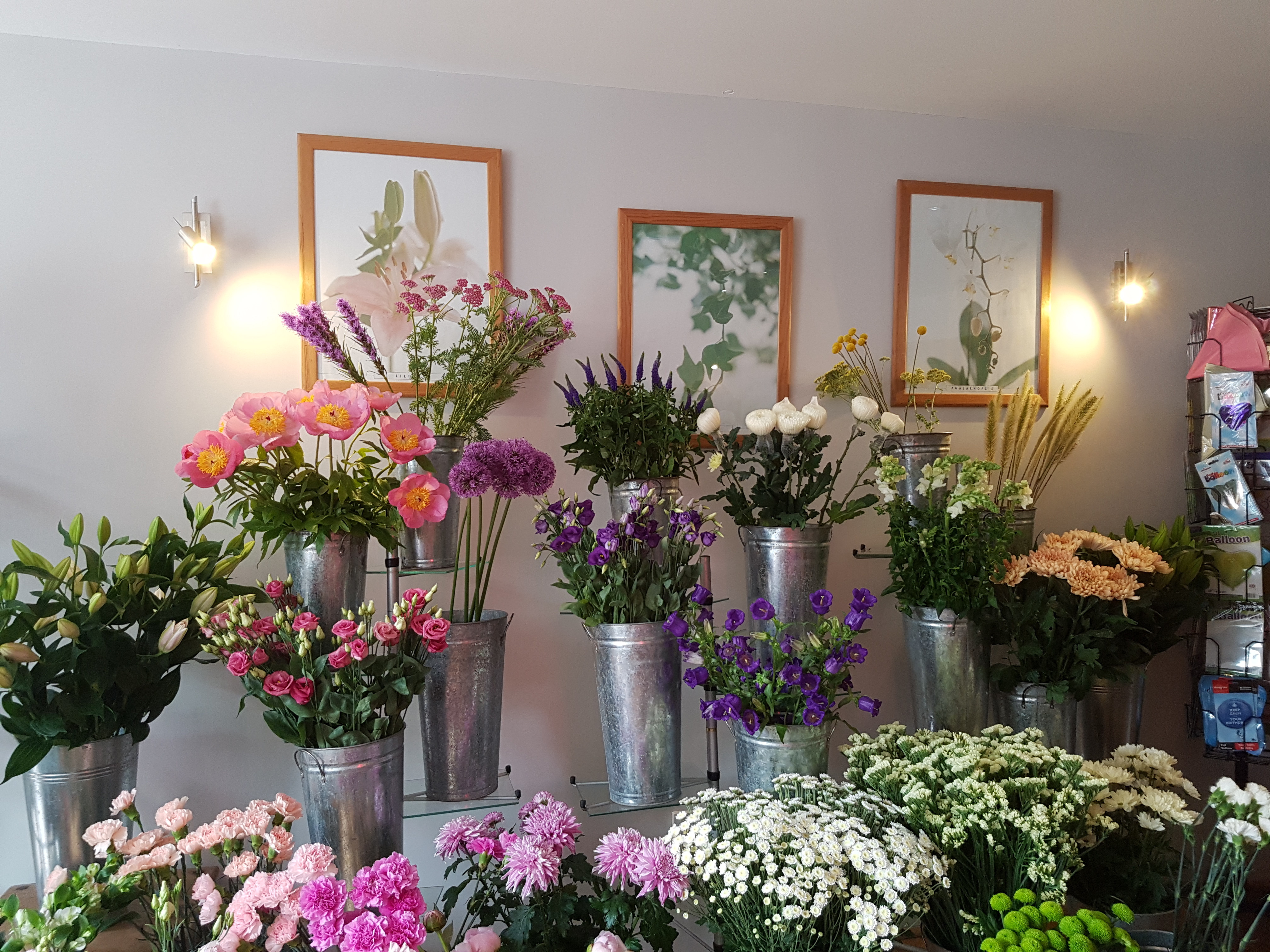 The Flower Loft in Martock (2)