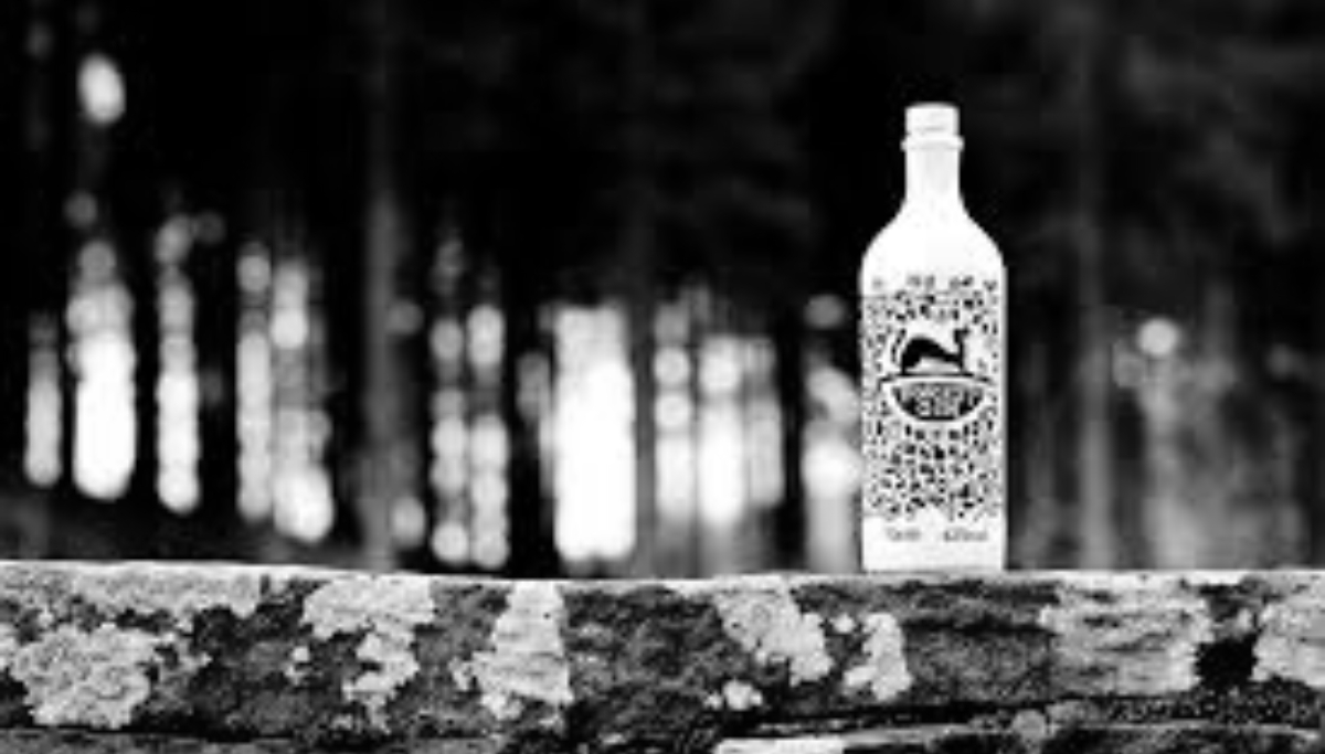 Forest Gin in Macclesfield