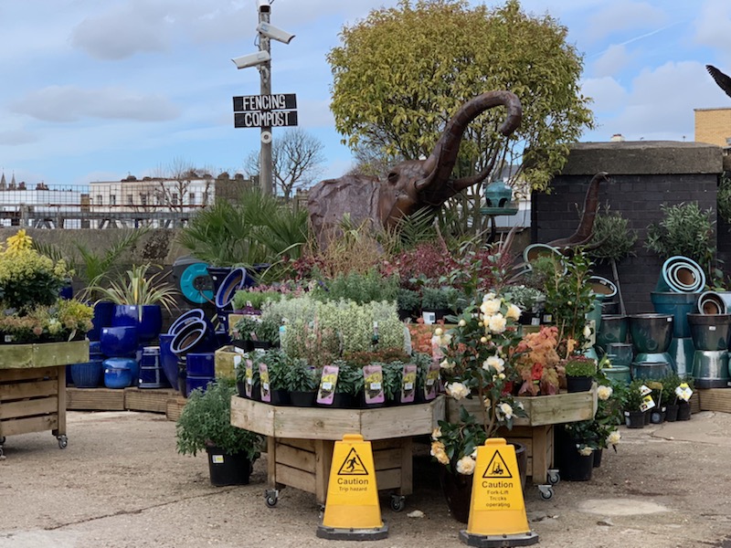 Boma Garden Centre in Kentish Town (2)