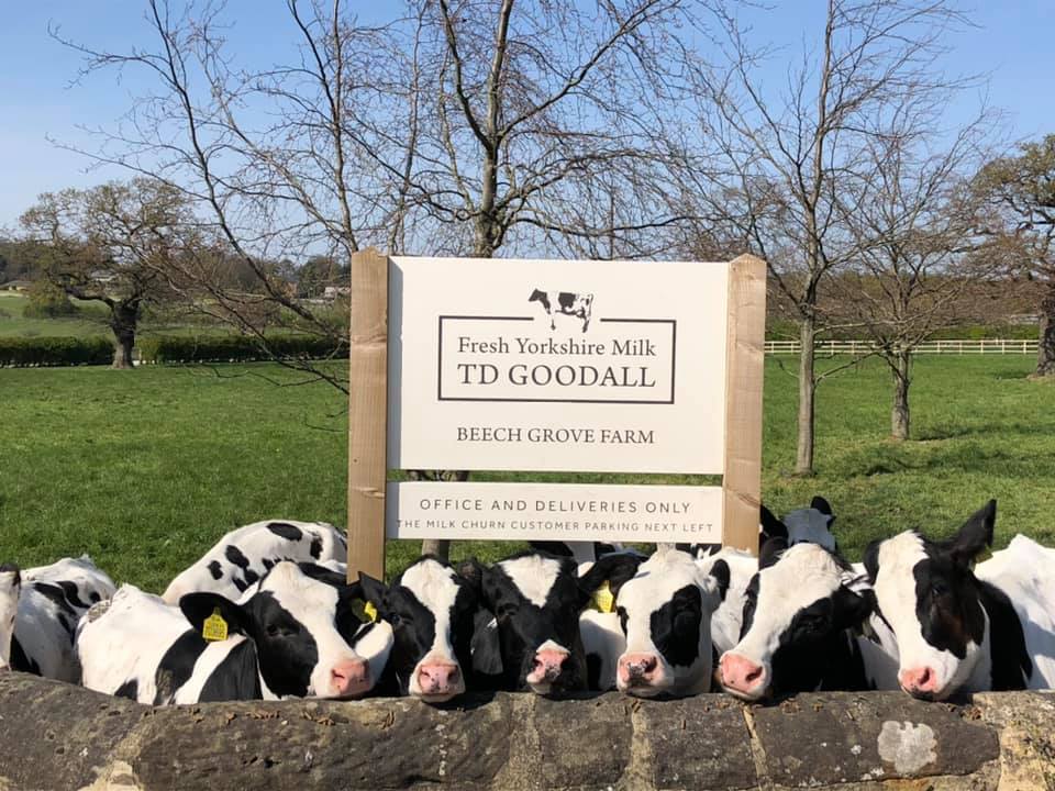 T D Goodall Fresh Milk in Tadcaster  (1)