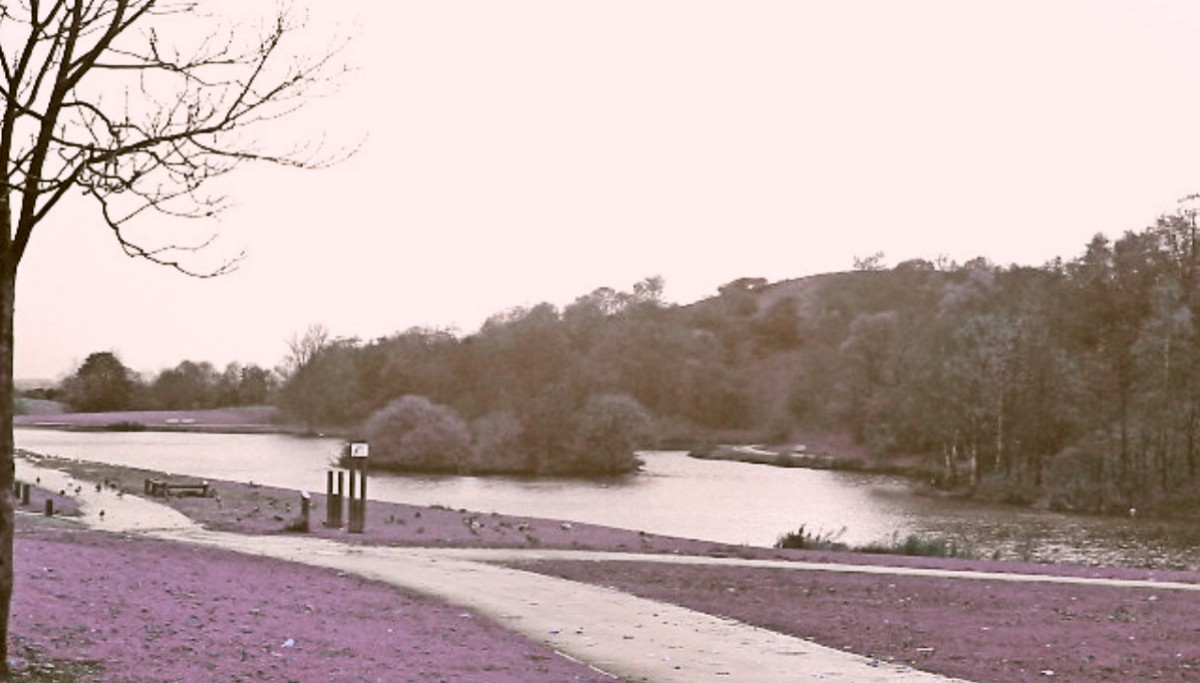 Central Forest Park in Hanley