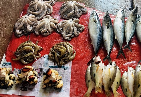 Fishmongers in Tufnell Park